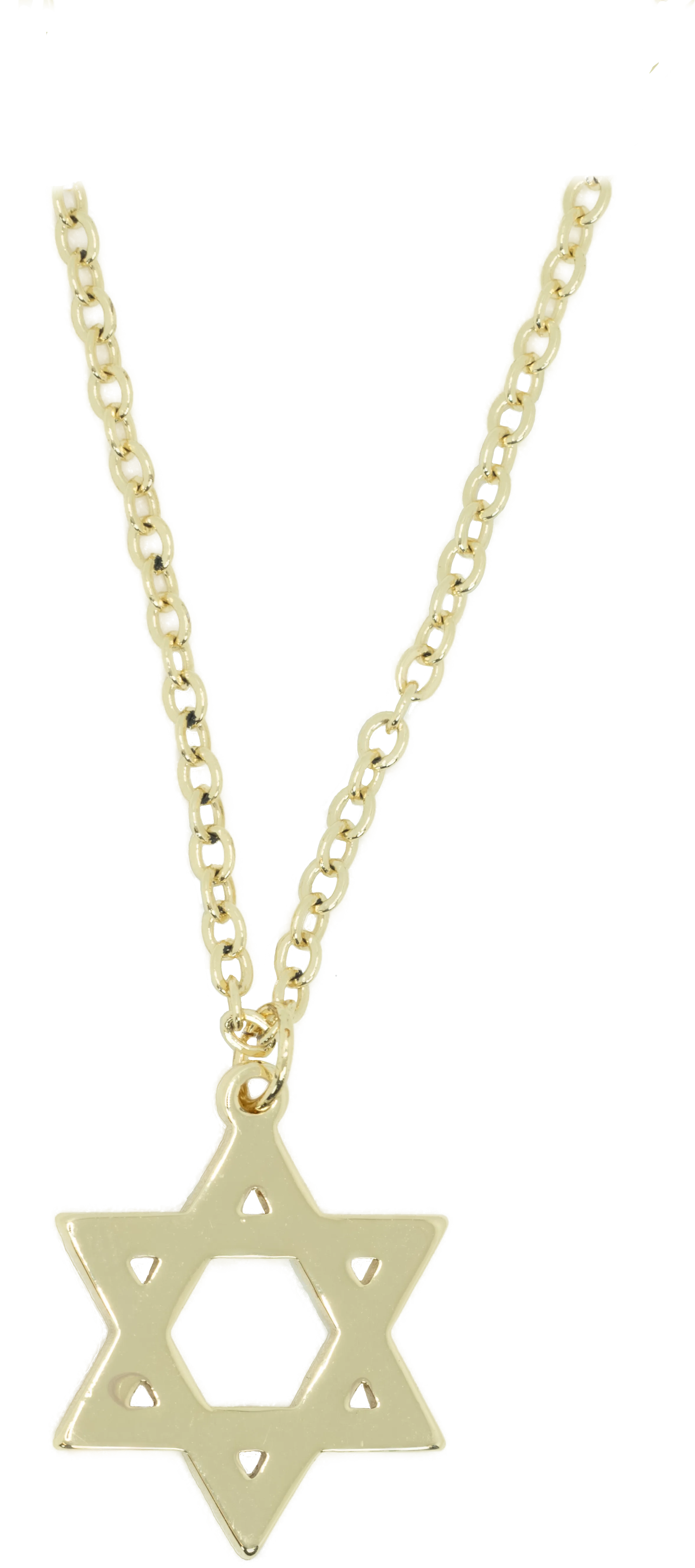 The Star of David Necklace